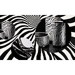 Редкое коллекционное издание Casa Cavalli Home: Celebrating the Roberto Cavalli Lifestyle Зебра варинант исполнения - 4 | Loft Concept в Липецке