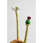 Статуэтка тропический фрукт Pandora Tropical Fruit Orange Two Flowers варинант исполнения - 2 | Loft Concept в Липецке