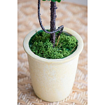 Декоративный искусственное растение Single boxwood варинант исполнения - 6 | Loft Concept в Липецке