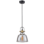 Подвесной светильник Moss варинант исполнения - 3 | Loft Concept в Липецке