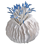 Статуэтка тропический фрукт Tropical Fruit White Blue варинант исполнения - 2 | Loft Concept в Липецке