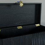 Большой дизайнерский Сундук Elsa Dreams Black варинант исполнения - 3 | Loft Concept в Липецке