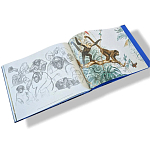 Лимитированная подарочная книга HERMES Fierce and Fragile book, English version варинант исполнения - 6 | Loft Concept в Липецке