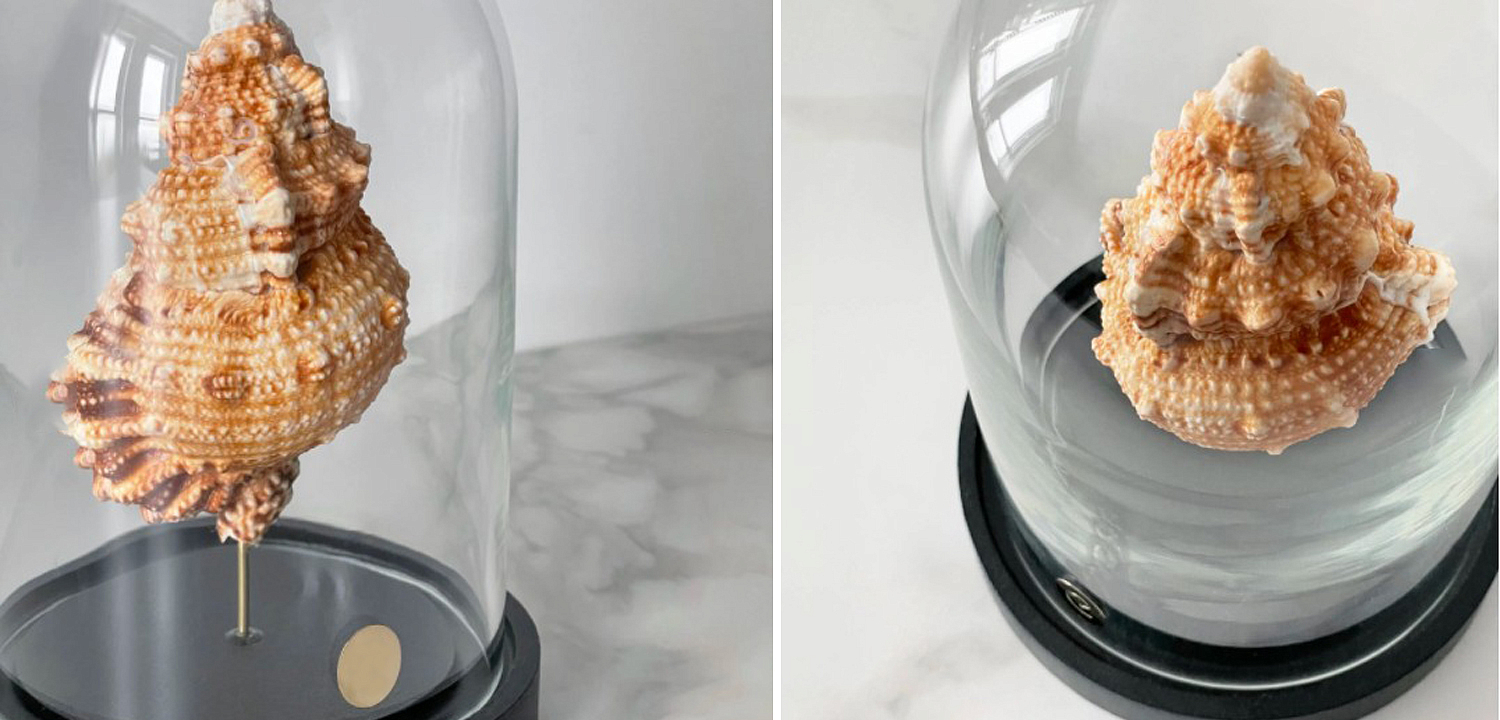 Статуэтка Bursa Rubeta Glass Cloche Статуэтка Bursa Rubeta Glass Cloche - Loft-Concept в Липецке