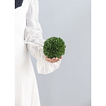 Декоративный искусственное растение Small boxwood варинант исполнения - 3 | Loft Concept в Липецке