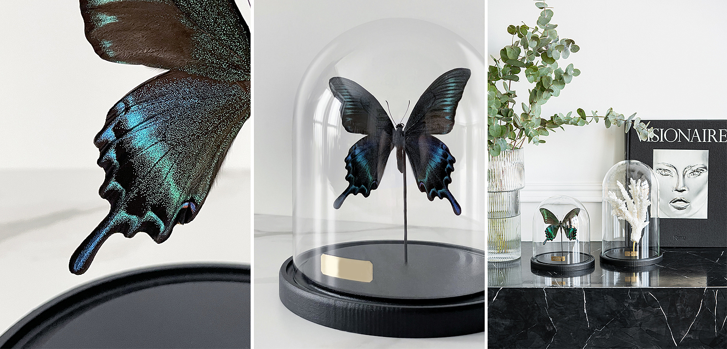 Статуэтка Butterfly Sailboat Maaka Glass Cloche Статуэтка Butterfly Sailboat Maaka Glass Cloche - Loft-Concept в Липецке