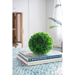 Декоративный искусственное растение Round boxwood варинант исполнения - 6 | Loft Concept в Липецке