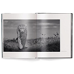 Книга Beusker. Look into my Eyes варинант исполнения - 1 | Loft Concept в Липецке