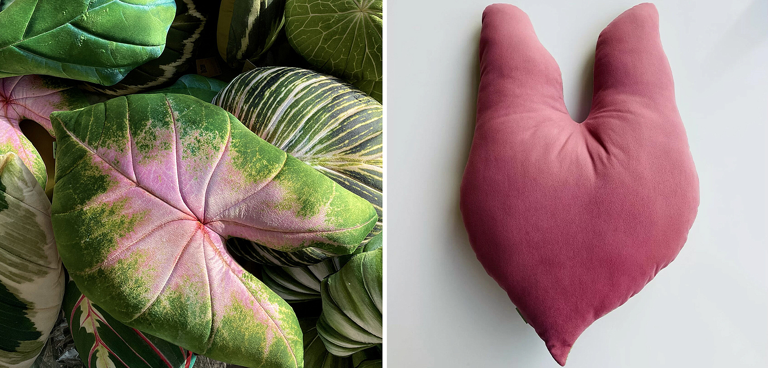 Декоративная подушка Botanical Cushion Caladium Bicolor Декоративная подушка Botanical Cushion Caladium Bicolor - Loft-Concept в Липецке