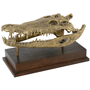 Череп Крокодила Латунь