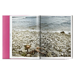 Книга Gisele Bundchen варинант исполнения - 9 | Loft Concept в Липецке