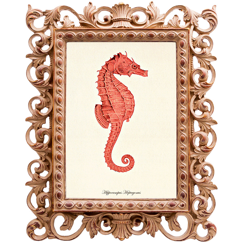 Постер Red Seahorse Poster Бежевый Красный Постер Red Seahorse Poster Бежевый Красный в Липецке | Loft Concept