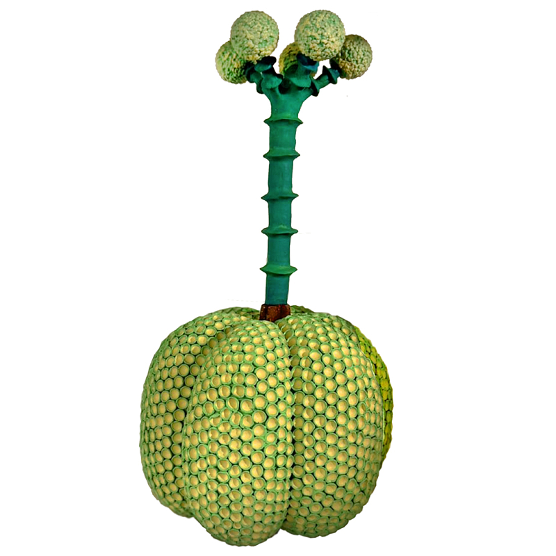 Статуэтка Зеленый тропический фрукт Pandora Tropical Light Green 69 Салатовый Мульти в Липецке | Loft Concept 