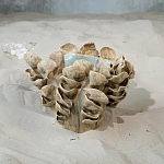 Ваза из серии «Волнение 3» варинант исполнения - 2 | Loft Concept в Липецке