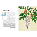 Прекрасно иллюстрированная книга более 100 ботанических произведений Plant Hunters Atlas варинант исполнения - 4 | Loft Concept в Липецке