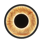 Бра круглое Gold Sun Lighting  варинант исполнения - 1 | Loft Concept в Липецке