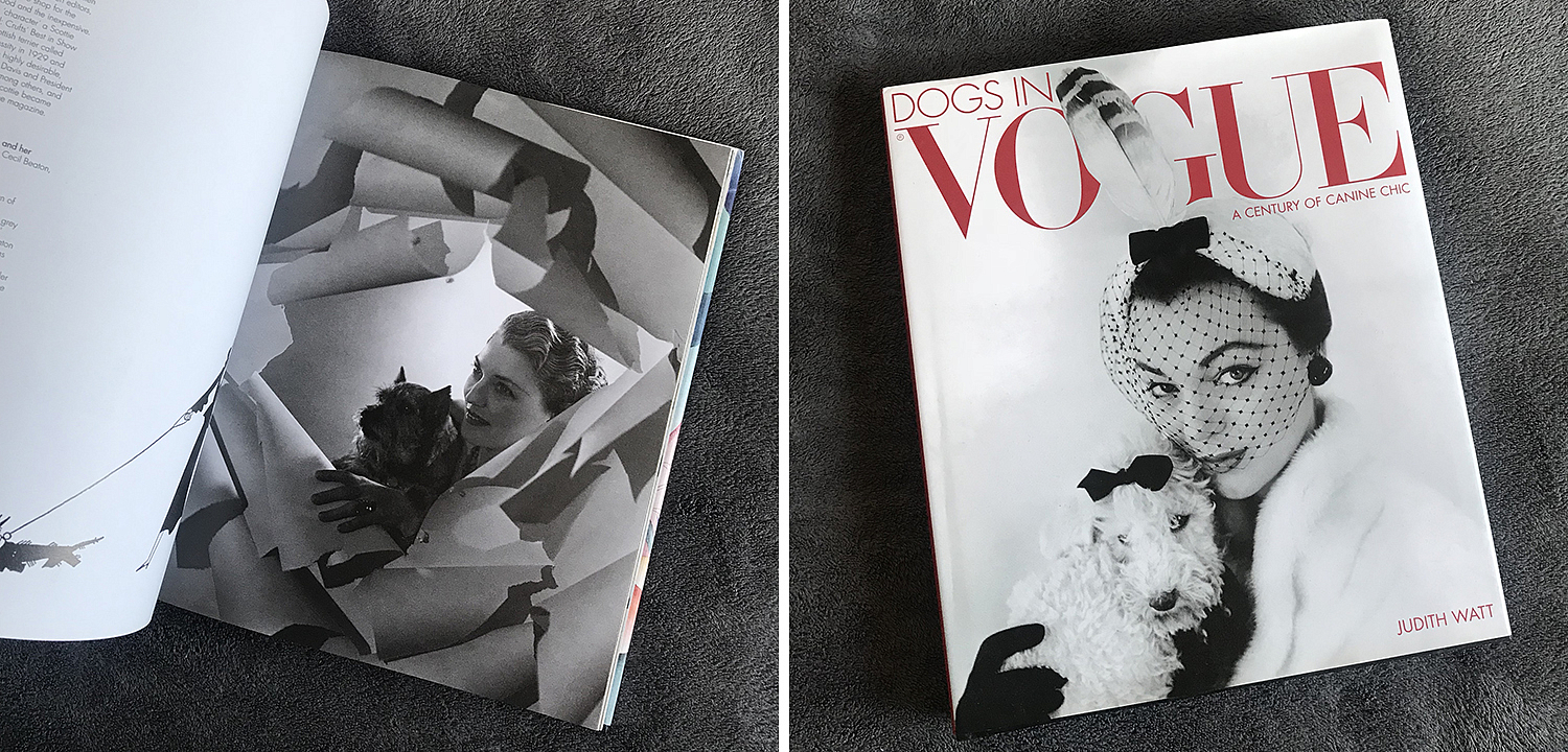 Dogs in Vogue A Century of Canine Chic Dogs in Vogue A Century of Canine Chic - Loft-Concept в Липецке