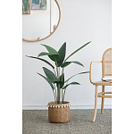 Декоративный искусственное растение Decor Stile  варинант исполнения - 5 | Loft Concept в Липецке