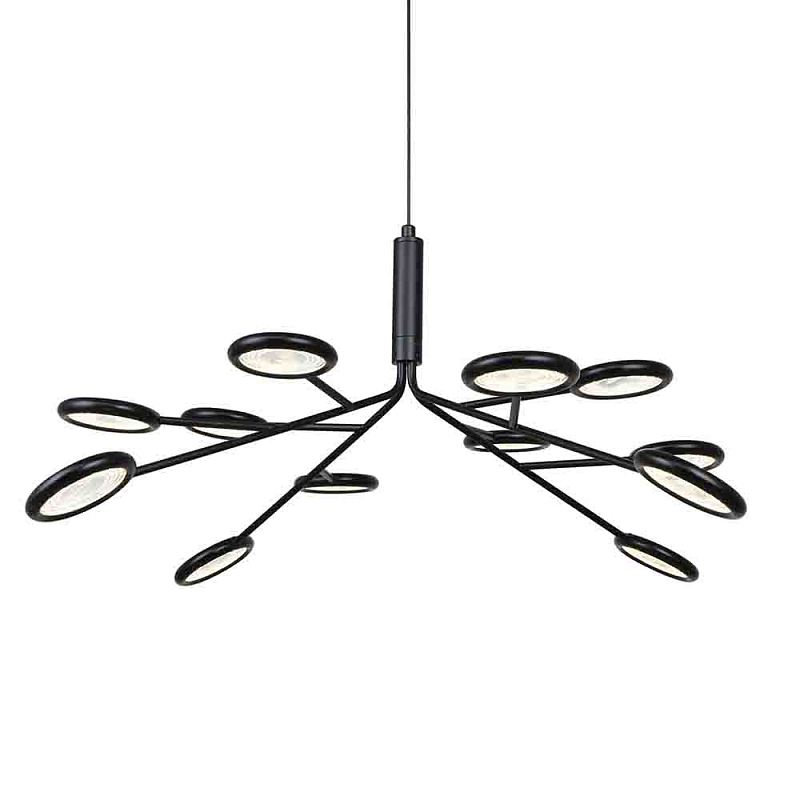 Люстра черного цвета с 12-ю круглыми плафонами Bendik Lighting Прозрачный Черный Люстра черного цвета с 12-ю круглыми плафонами Bendik Lighting Прозрачный Черный в Липецке | Loft Concept