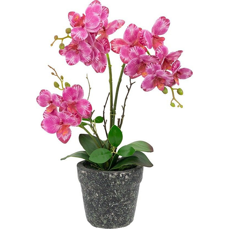 Декоративный искусственное растение Pink orchid Зеленый Черный Розовый Декоративный искусственное растение Pink orchid Зеленый Черный Розовый в Липецке | Loft Concept
